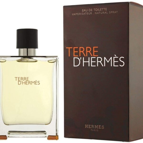 Hermes Terre D'Hermes EDT 100ML For Men