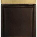 Tom Ford Noir Extreme by Tom Ford - perfume for men - Eau de Parfum 100 ml Multicolor